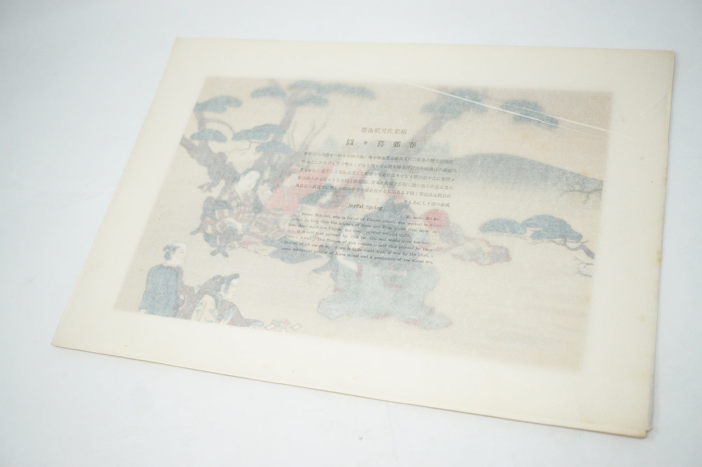 Japanese Quality Woodblock Print Recarved Edition by Iwasa Matabei 1026D28
