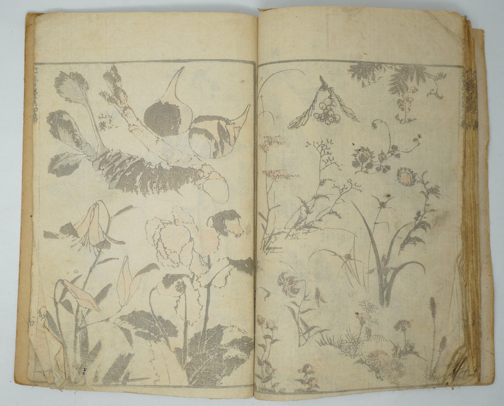 Japanisches antikes Manga-Heft von Katsushika Hokusai, authentisch aus Japan 0905E10