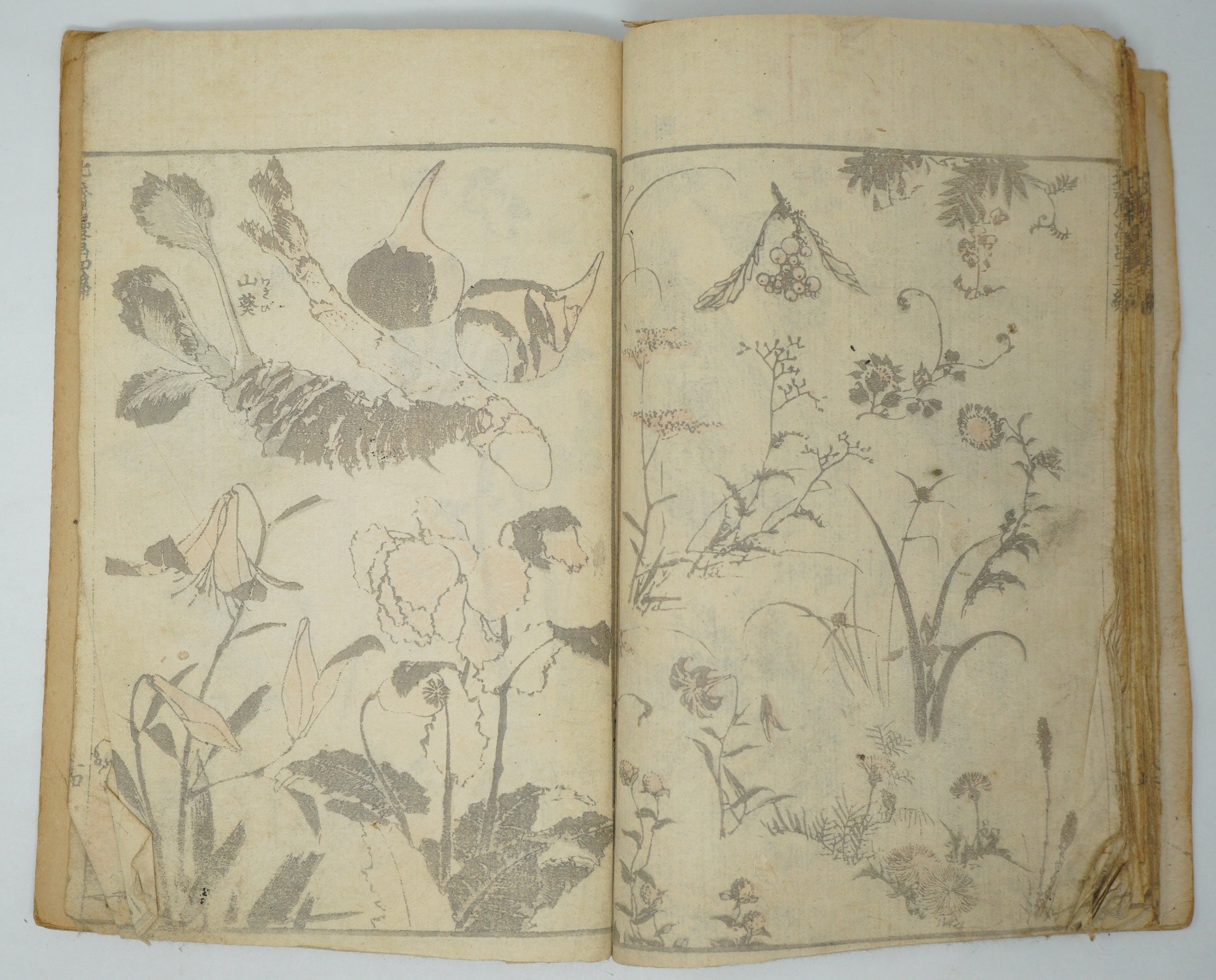 Japanisches antikes Manga-Heft von Katsushika Hokusai, authentisch aus Japan 0905E10