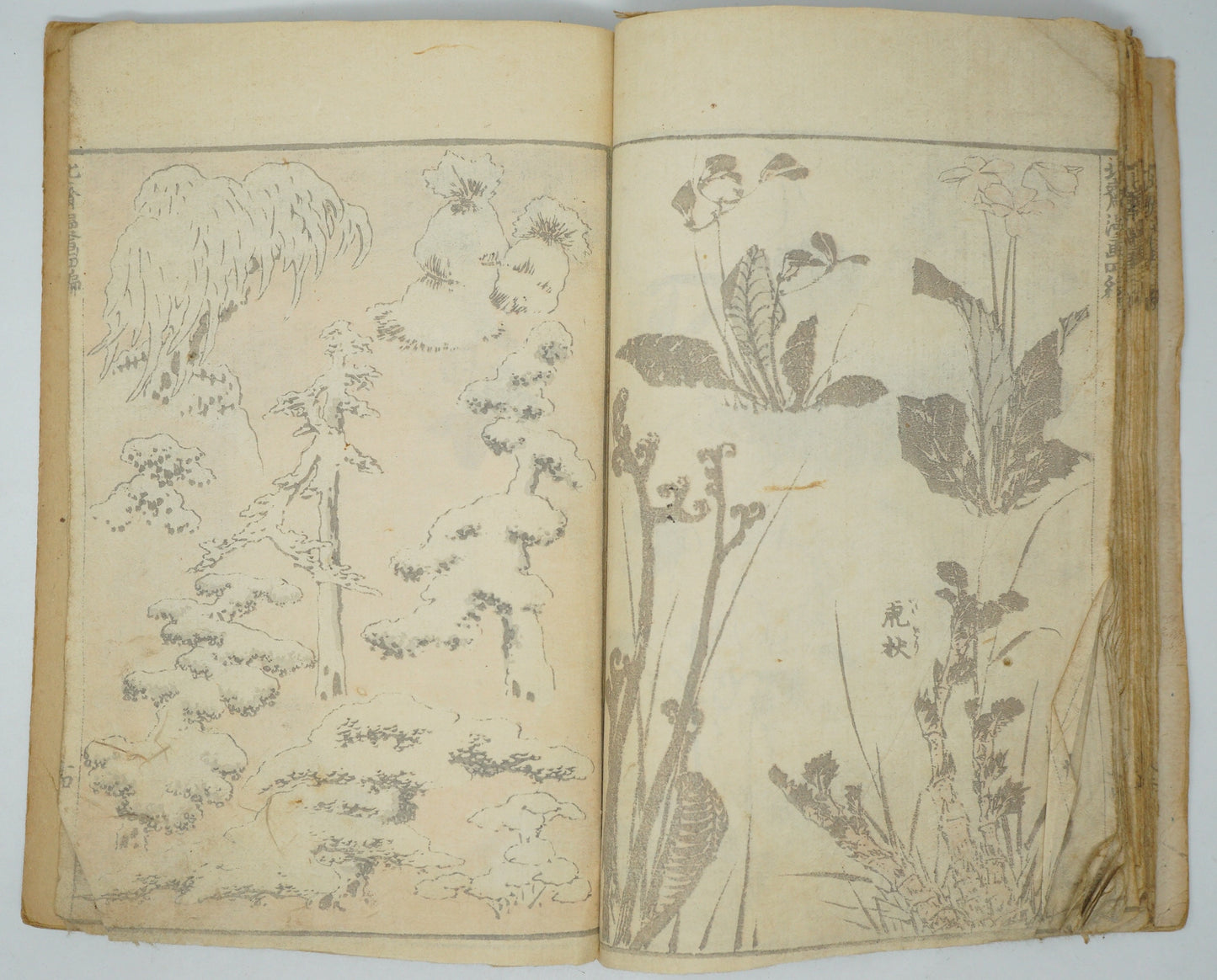 Japanese Antique Manga Booklet by Katsushika Hokusai Authentic from Japan 0905E10