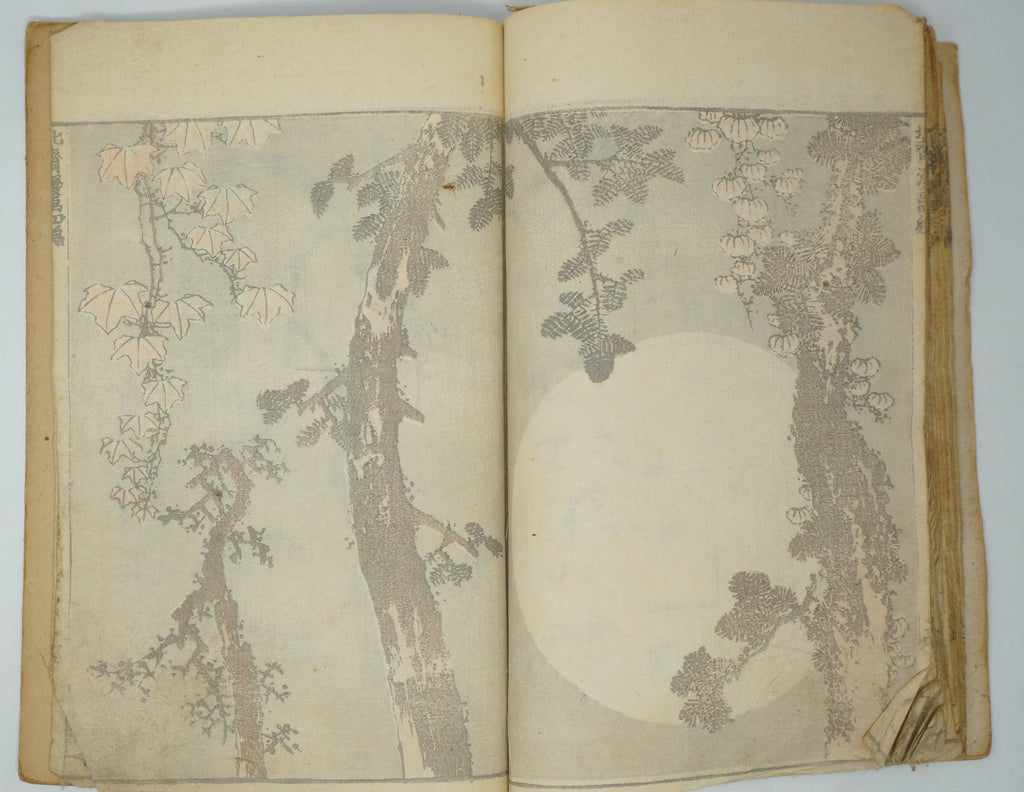 Japanisches antikes Manga-Heft von Katsushika Hokusai, authentisch aus Japan 0905E10