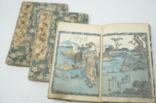 Original Woodblock Manga Buch Set x3 mit detaillierten Bildern von Seisai Eiichi aus Japan 0603E16