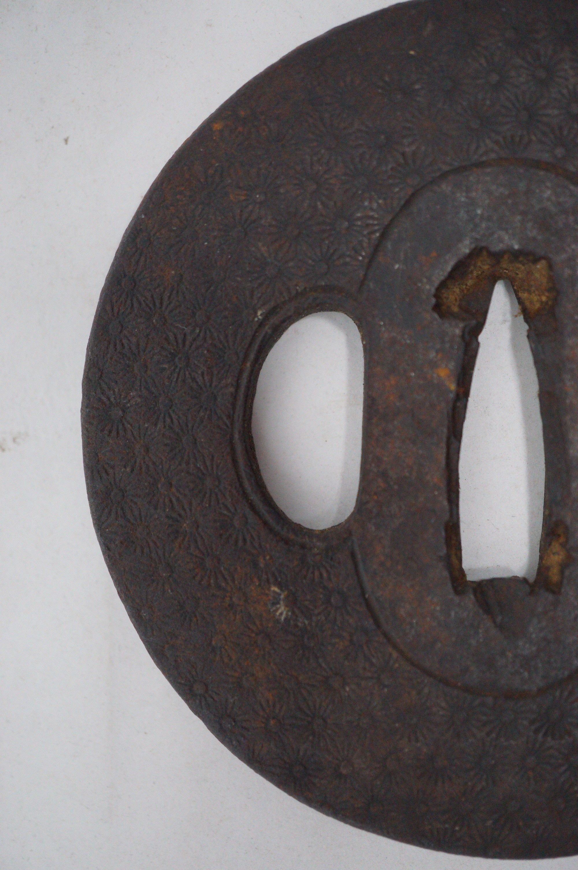 Japanese Iron Tsuba Guard for Katana or Wakizashi Sword Cherry Blossom Design from Japan 0228E16