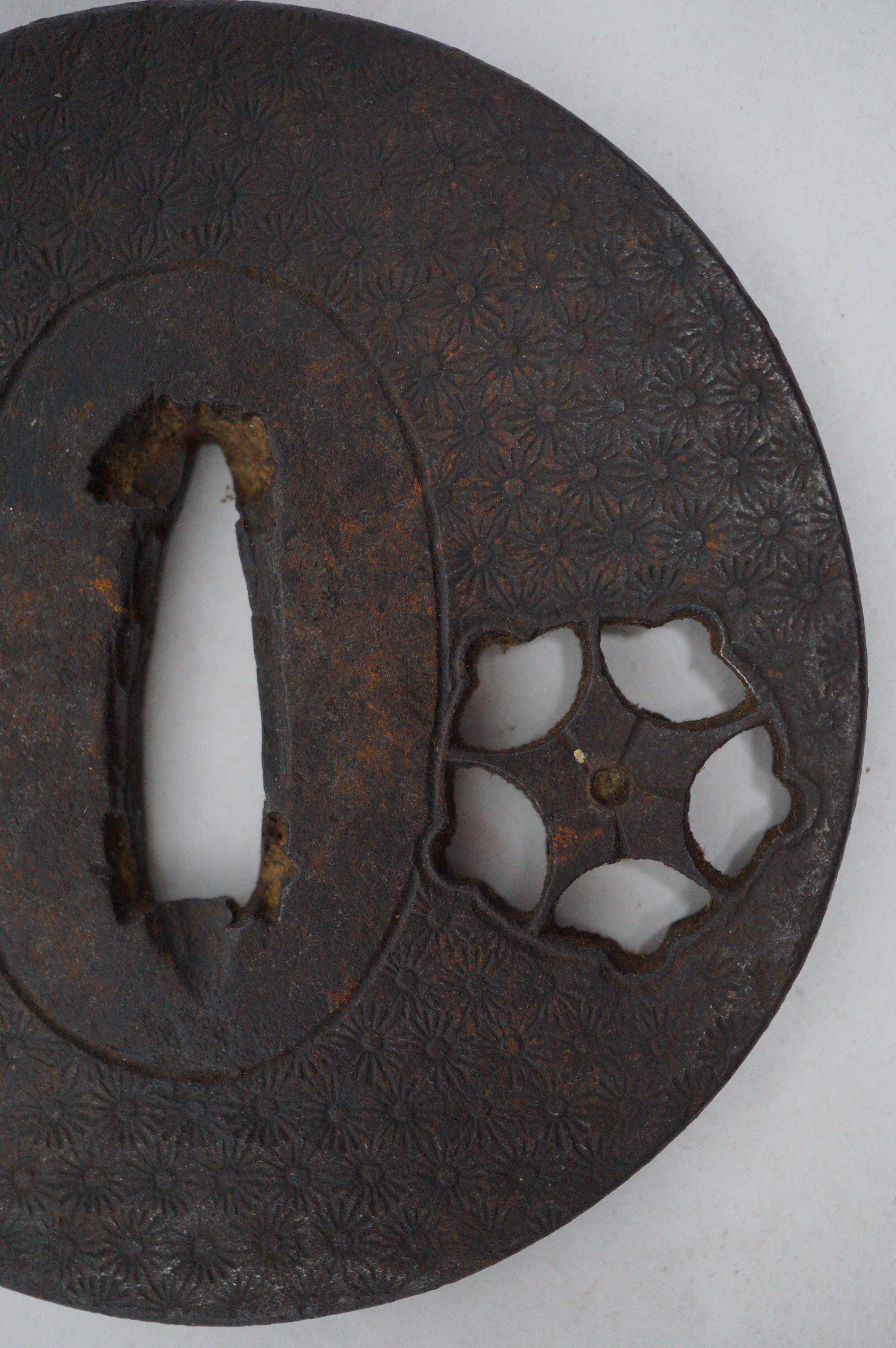 Japanese Iron Tsuba Guard for Katana or Wakizashi Sword Cherry Blossom Design from Japan 0228E16