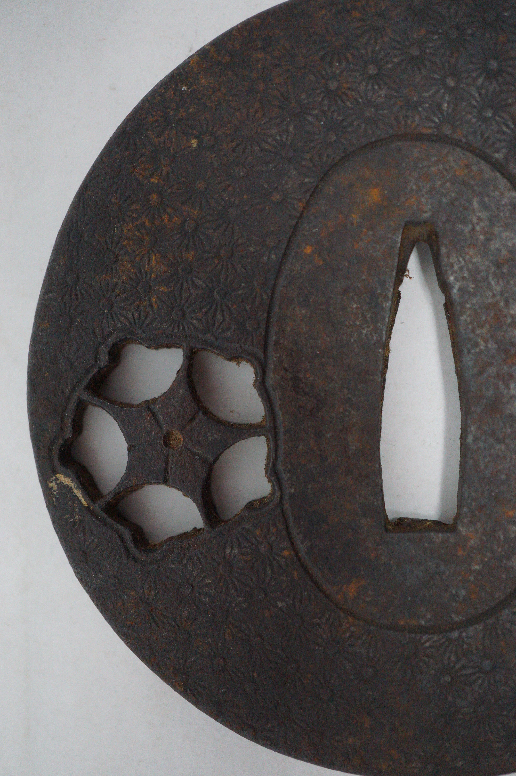 Japanese Iron Tsuba Guard for Katana or Wakizashi Sword Cherry Blossom Design from Japan 0228E16