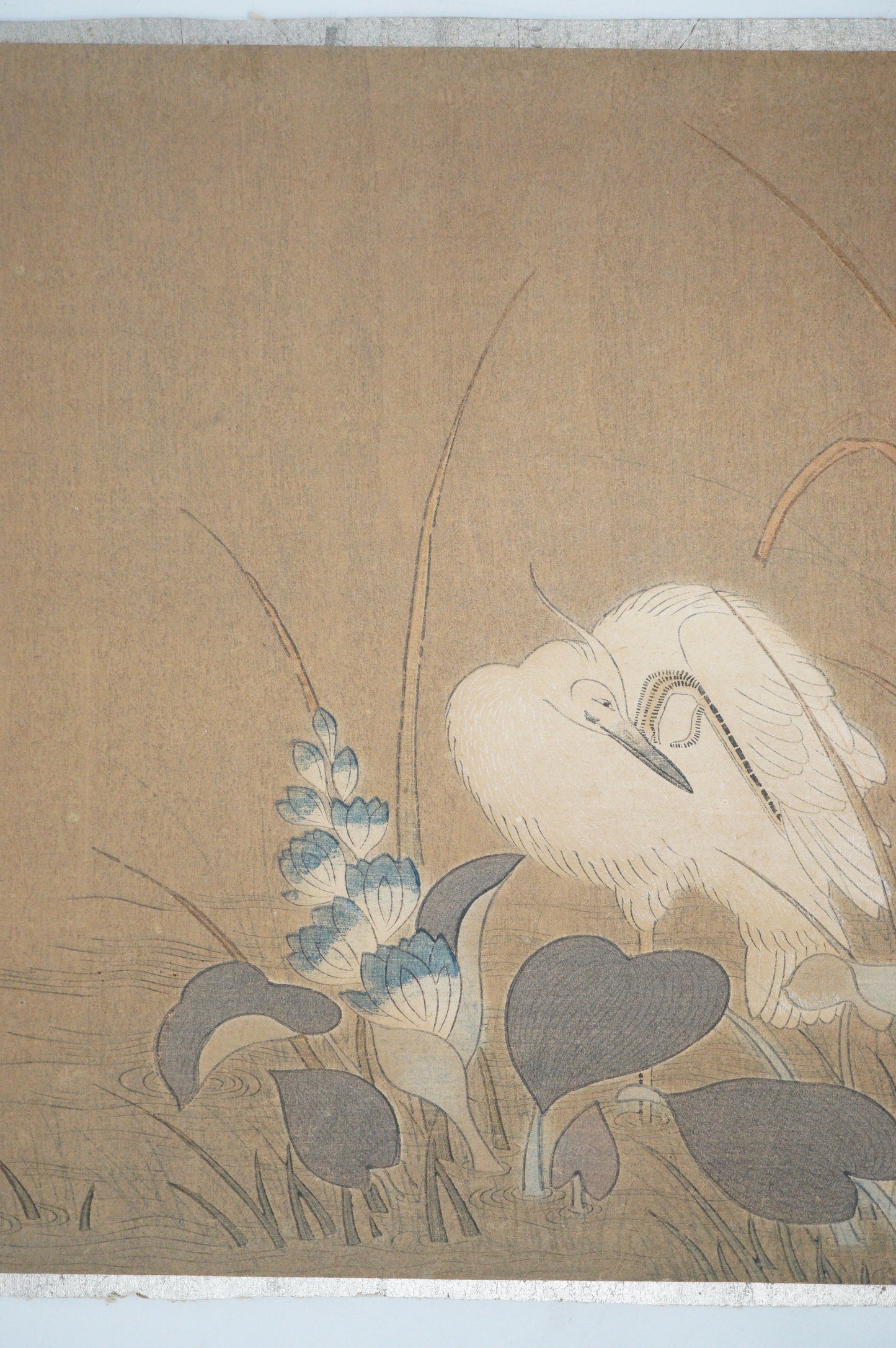 Japanese Woodblock Print -Herons & Aquatic Plants- by Kano Tanyu 0105E17