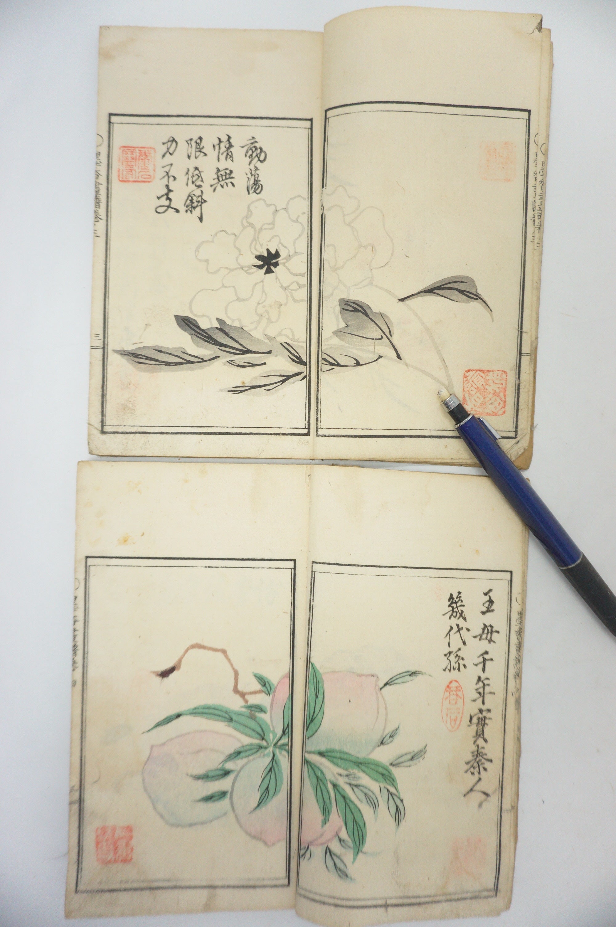 Antique 1898 Japanese Book Set with detailed Woodblock Printed Images from Japan 0509E18