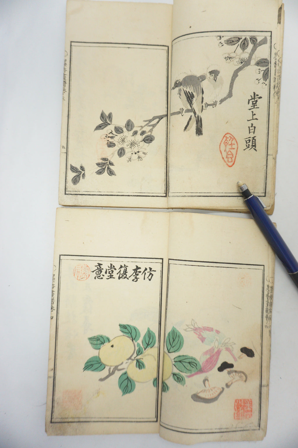 Antique 1898 Japanese Book Set with detailed Woodblock Printed Images from Japan 0509E18