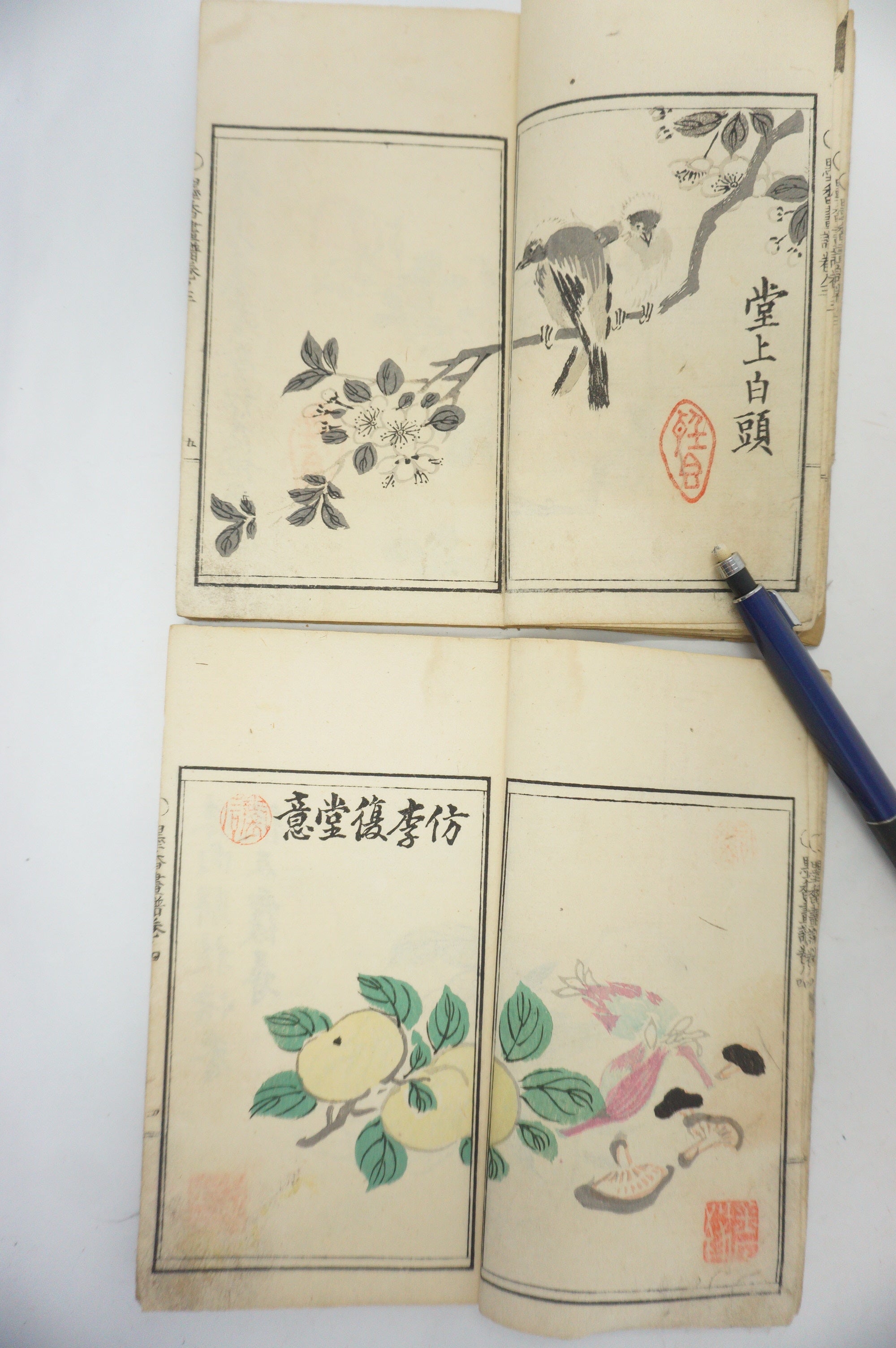 Antique 1898 Japanese Book Set with detailed Woodblock Printed Images from Japan 0509E18