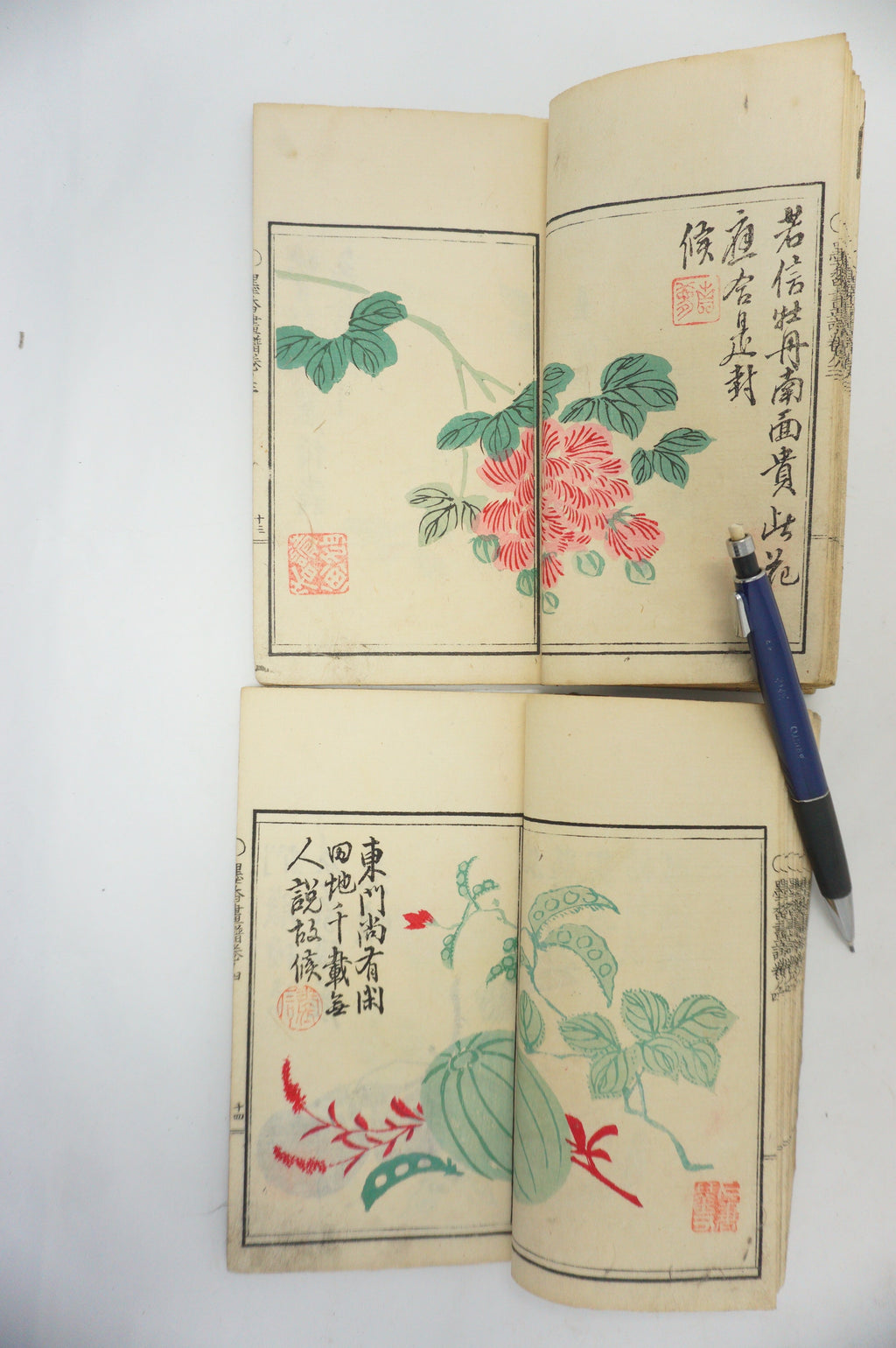 Antique 1898 Japanese Book Set with detailed Woodblock Printed Images from Japan 0509E18