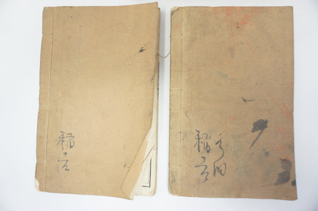 Antique 1898 Japanese Book Set with detailed Woodblock Printed Images from Japan 0509E18