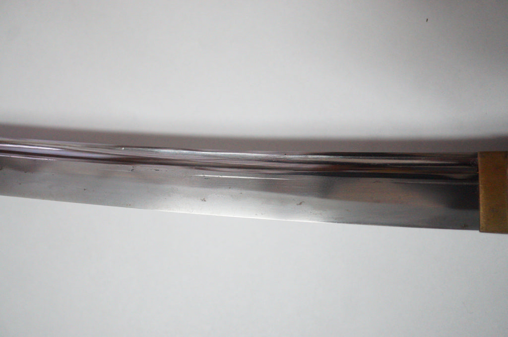 Japanese Wakizashi Sword | Signed: Sagamiju Kunimichi | Edo Period | With Registration 0311G1