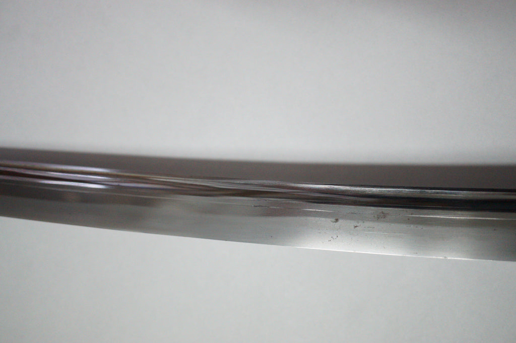 Japanese Wakizashi Sword | Signed: Sagamiju Kunimichi | Edo Period | With Registration 0311G1