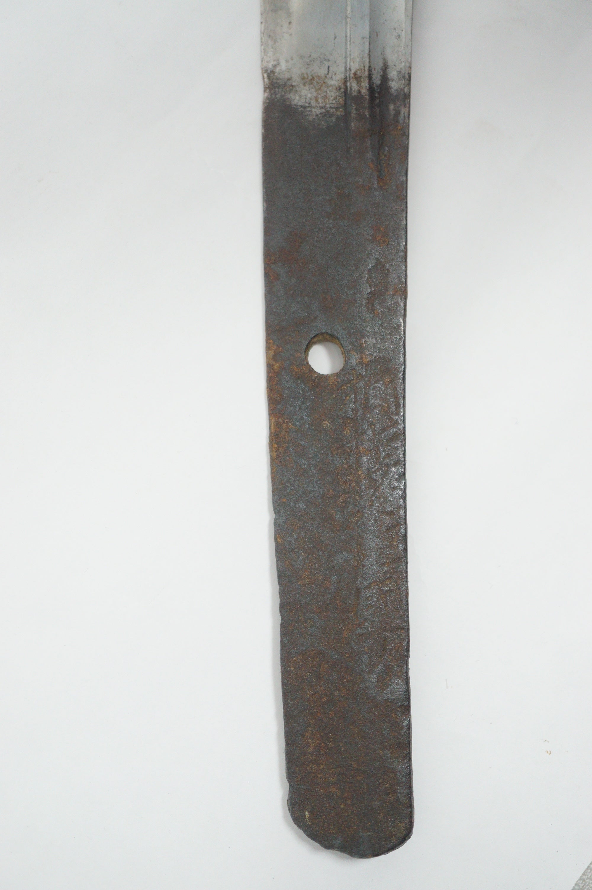 Japanese Wakizashi Sword | Signed: Sagamiju Kunimichi | Edo Period | With Registration 0311G1