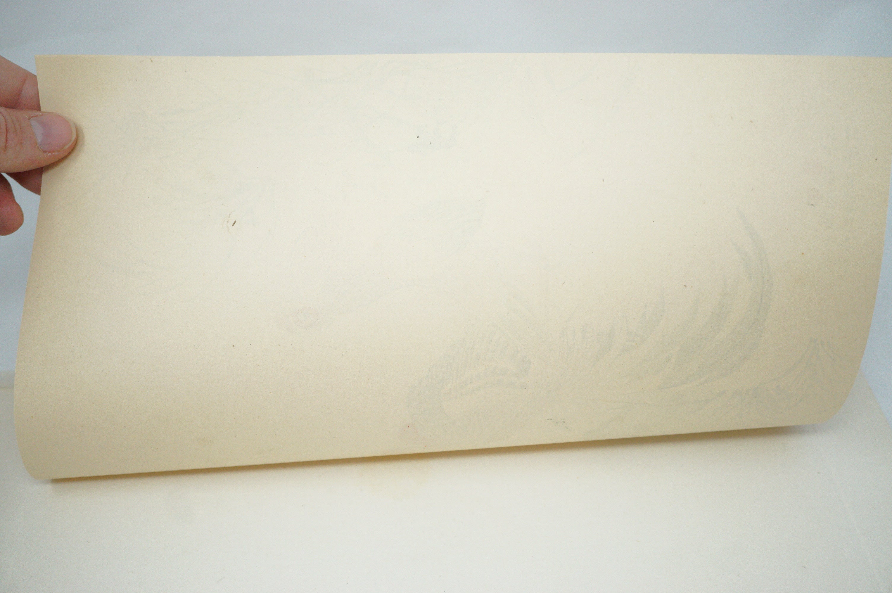 Japanese Quality Woodblock Print Recarved Edition by Watanabe Kwazan 1026D22