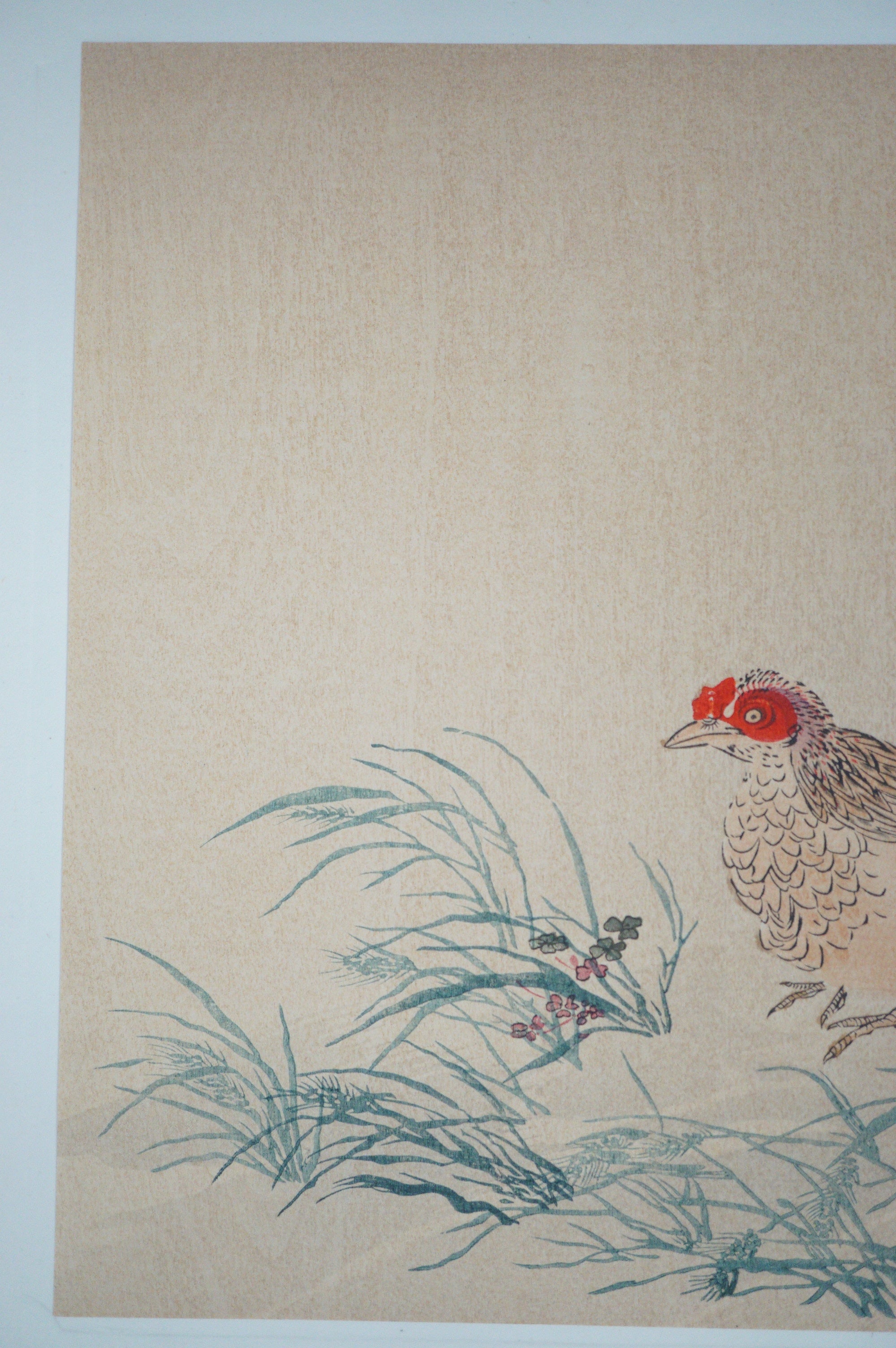 Japanese Quality Woodblock Print Recarved Edition by Watanabe Kwazan 1026D22