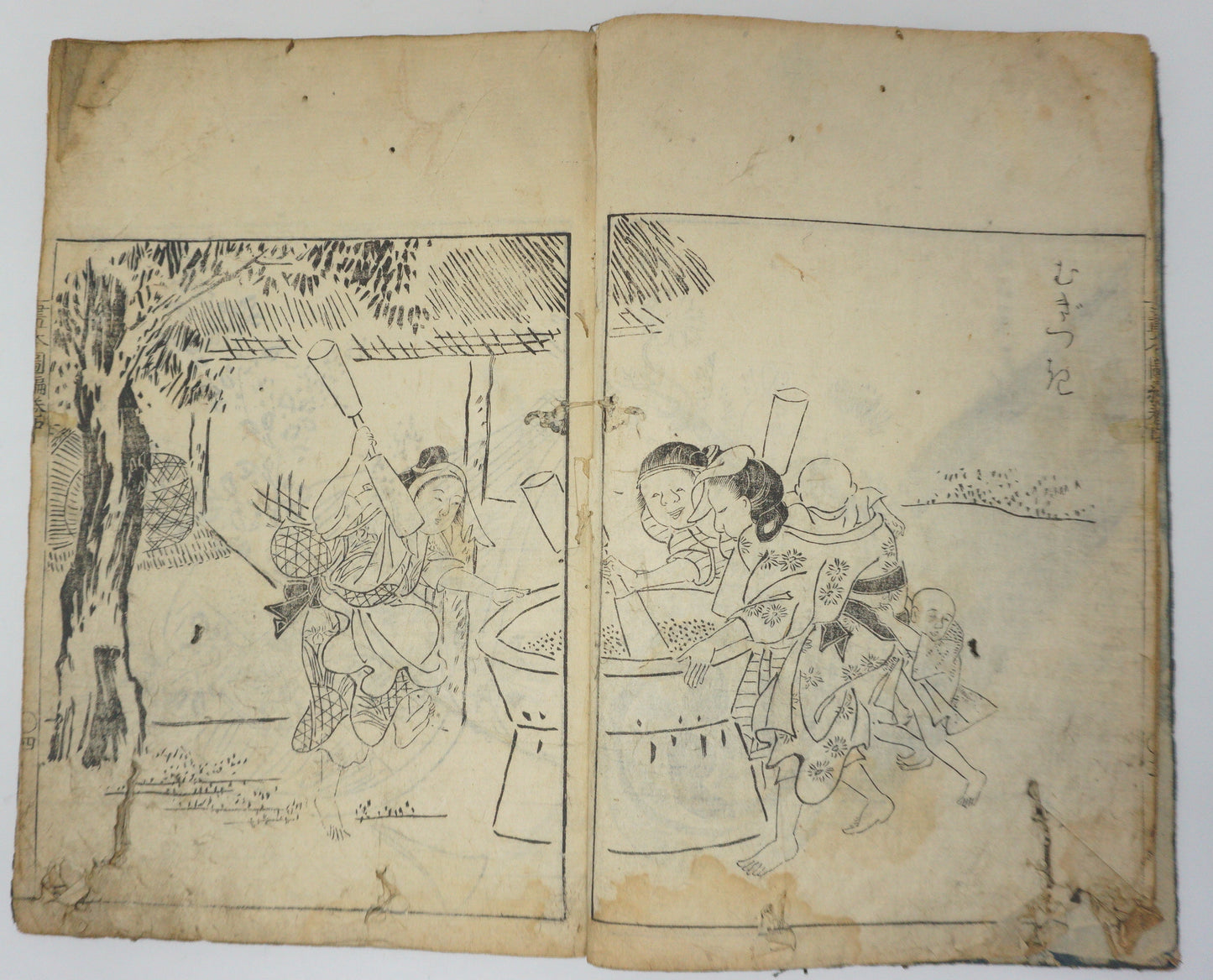 Antique Illustrated Book Set with 60 detailed Images Meiji Era Original by Ichicho Ei 0822D23