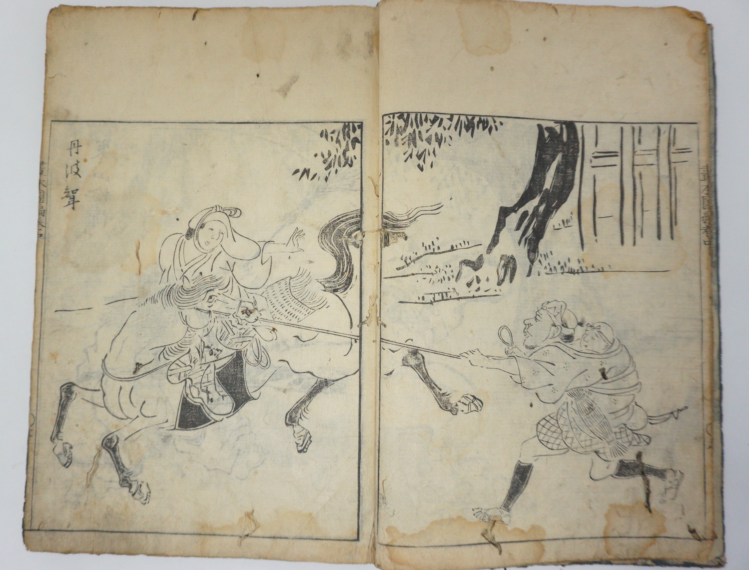 Antique Illustrated Book Set with 60 detailed Images Meiji Era Original by Ichicho Ei 0822D23