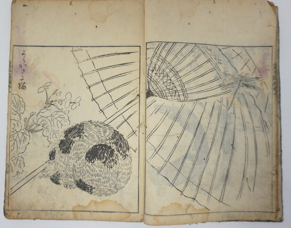 Antique Illustrated Book Set with 60 detailed Images Meiji Era Original by Ichicho Ei 0822D23