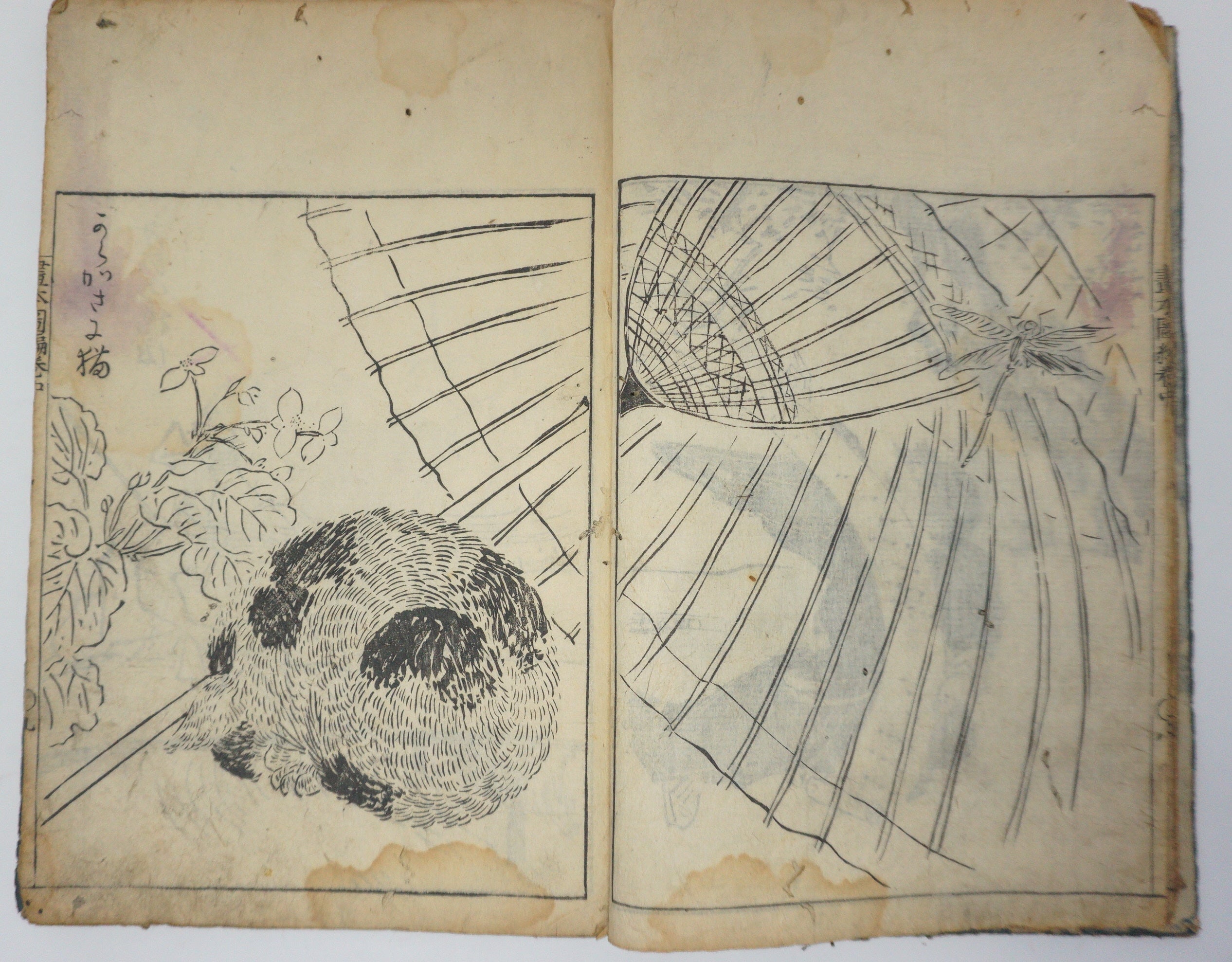 Antique Illustrated Book Set with 60 detailed Images Meiji Era Original by Ichicho Ei 0822D23