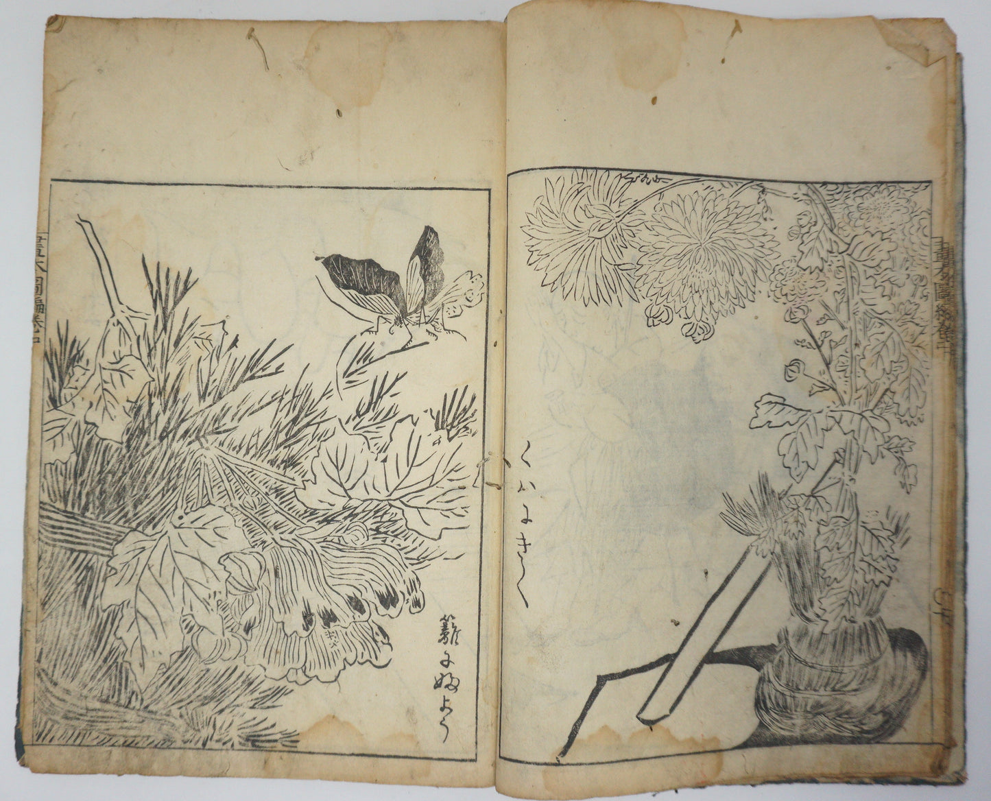 Antique Illustrated Book Set with 60 detailed Images Meiji Era Original by Ichicho Ei 0822D23