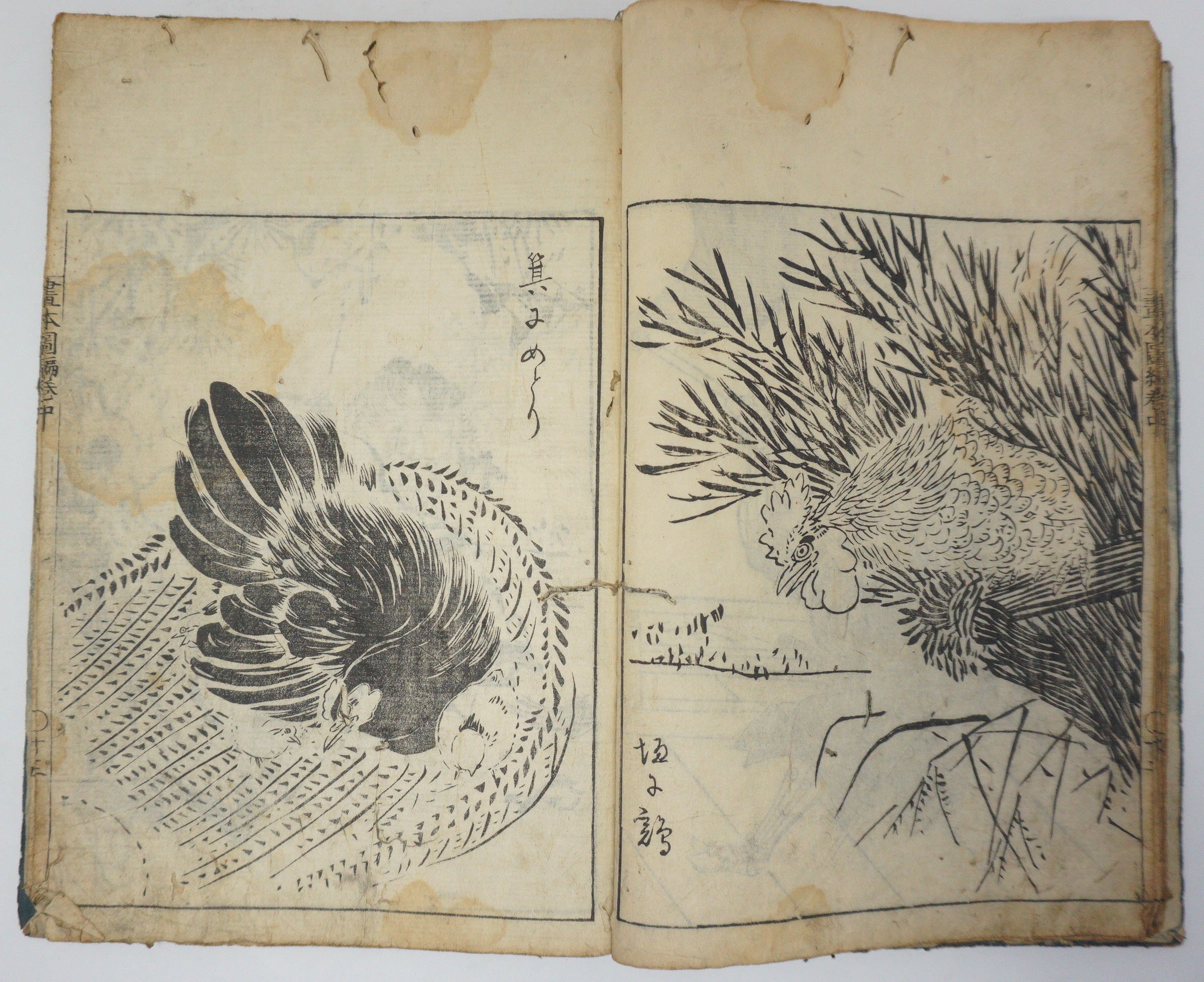 Antique Illustrated Book Set with 60 detailed Images Meiji Era Original by Ichicho Ei 0822D23