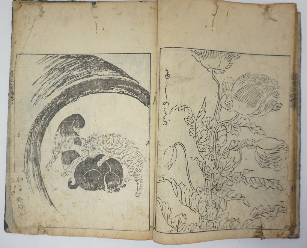 Antique Illustrated Book Set with 60 detailed Images Meiji Era Original by Ichicho Ei 0822D23