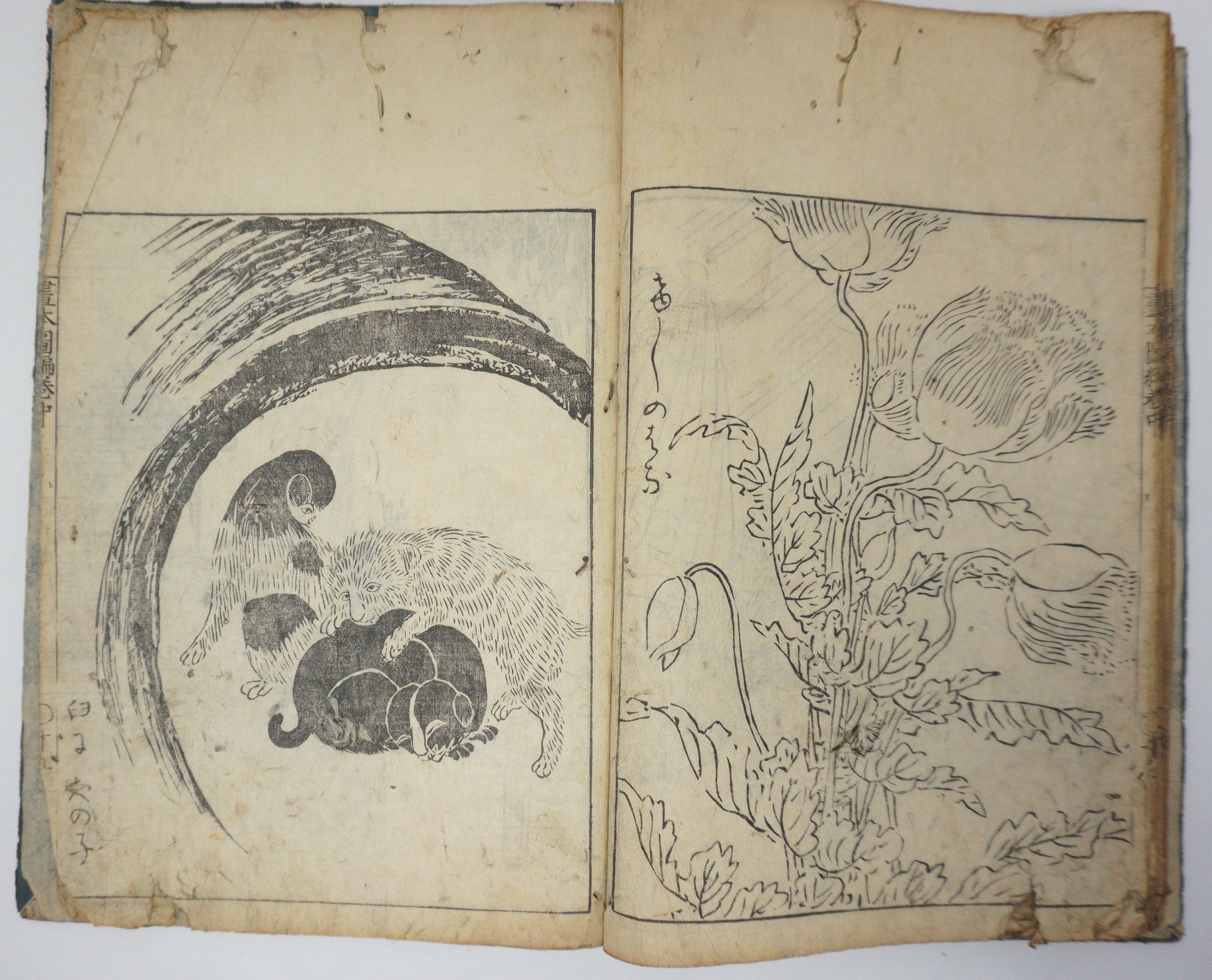 Antique Illustrated Book Set with 60 detailed Images Meiji Era Original by Ichicho Ei 0822D23