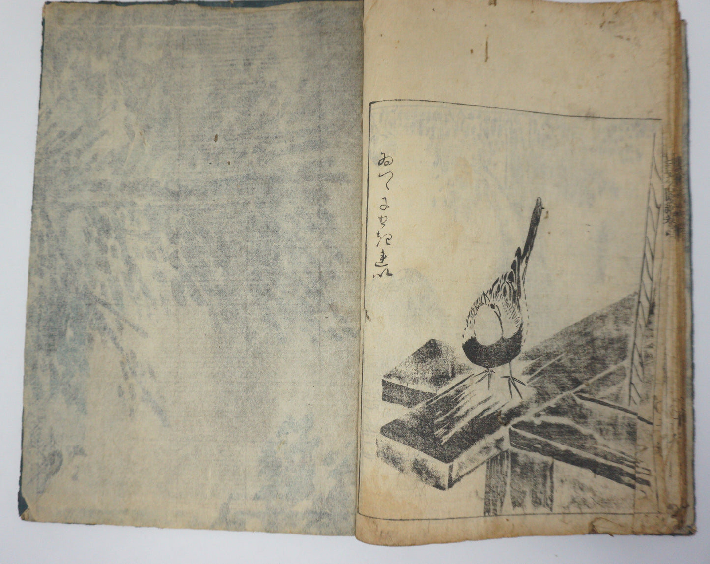 Antique Illustrated Book Set with 60 detailed Images Meiji Era Original by Ichicho Ei 0822D23