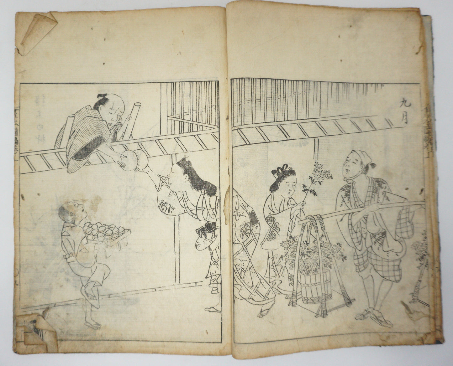 Antique Illustrated Book Set with 60 detailed Images Meiji Era Original by Ichicho Ei 0822D23