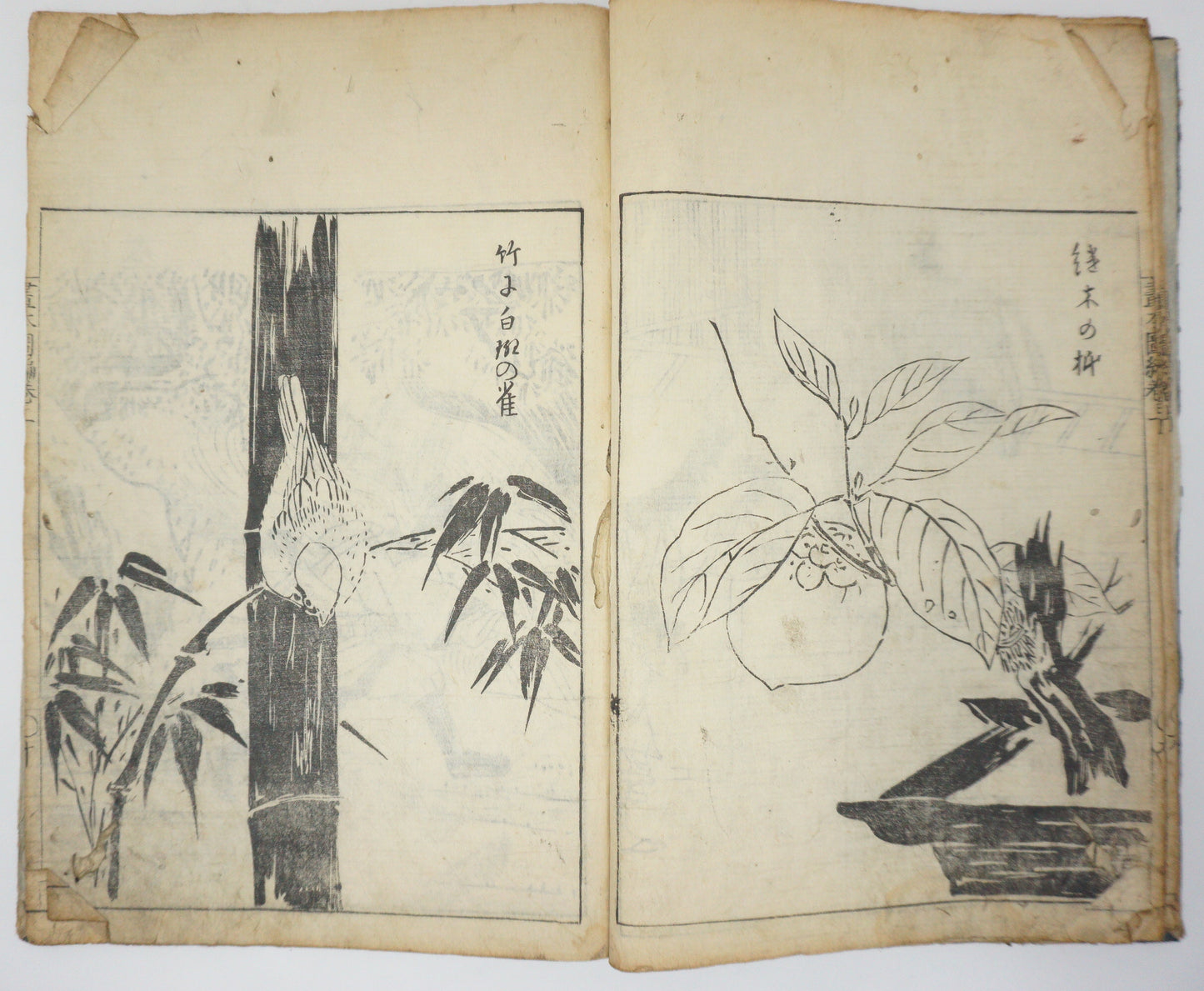 Antique Illustrated Book Set with 60 detailed Images Meiji Era Original by Ichicho Ei 0822D23