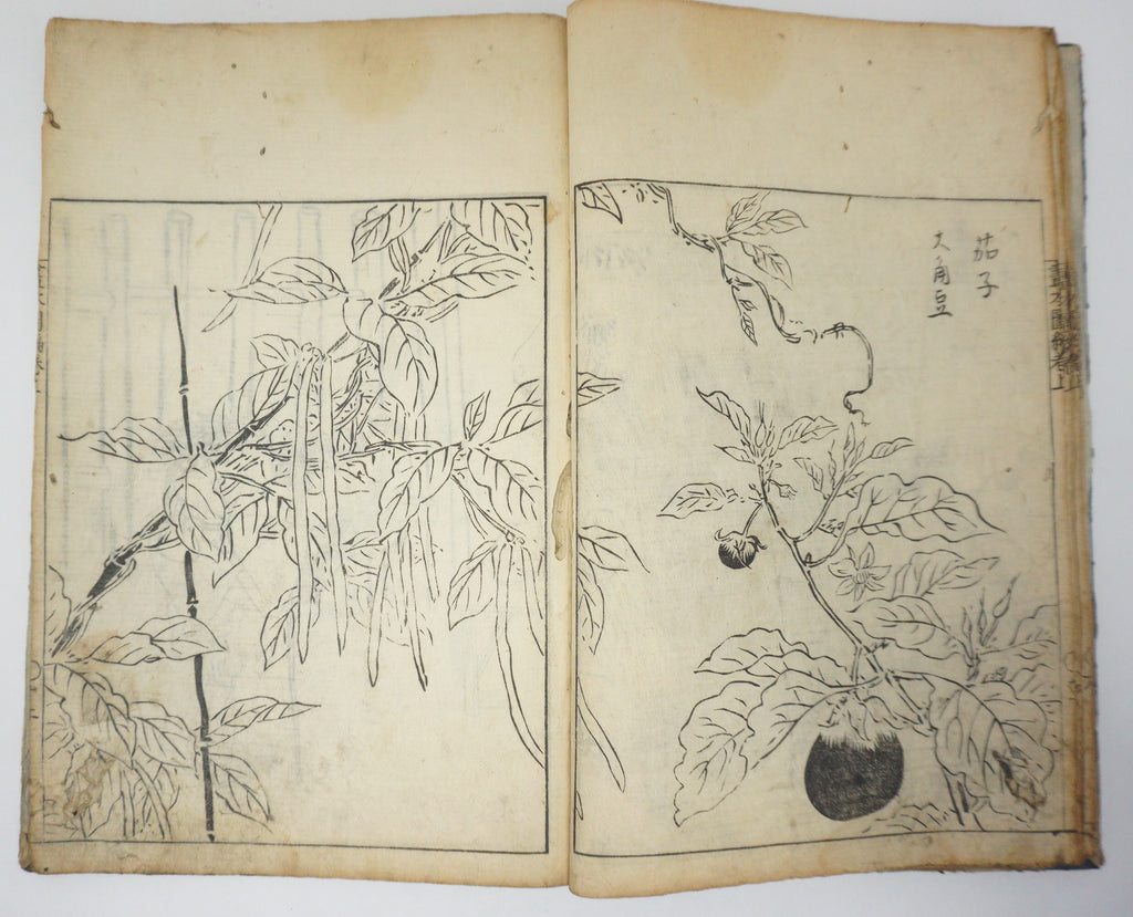 Antique Illustrated Book Set with 60 detailed Images Meiji Era Original by Ichicho Ei 0822D23