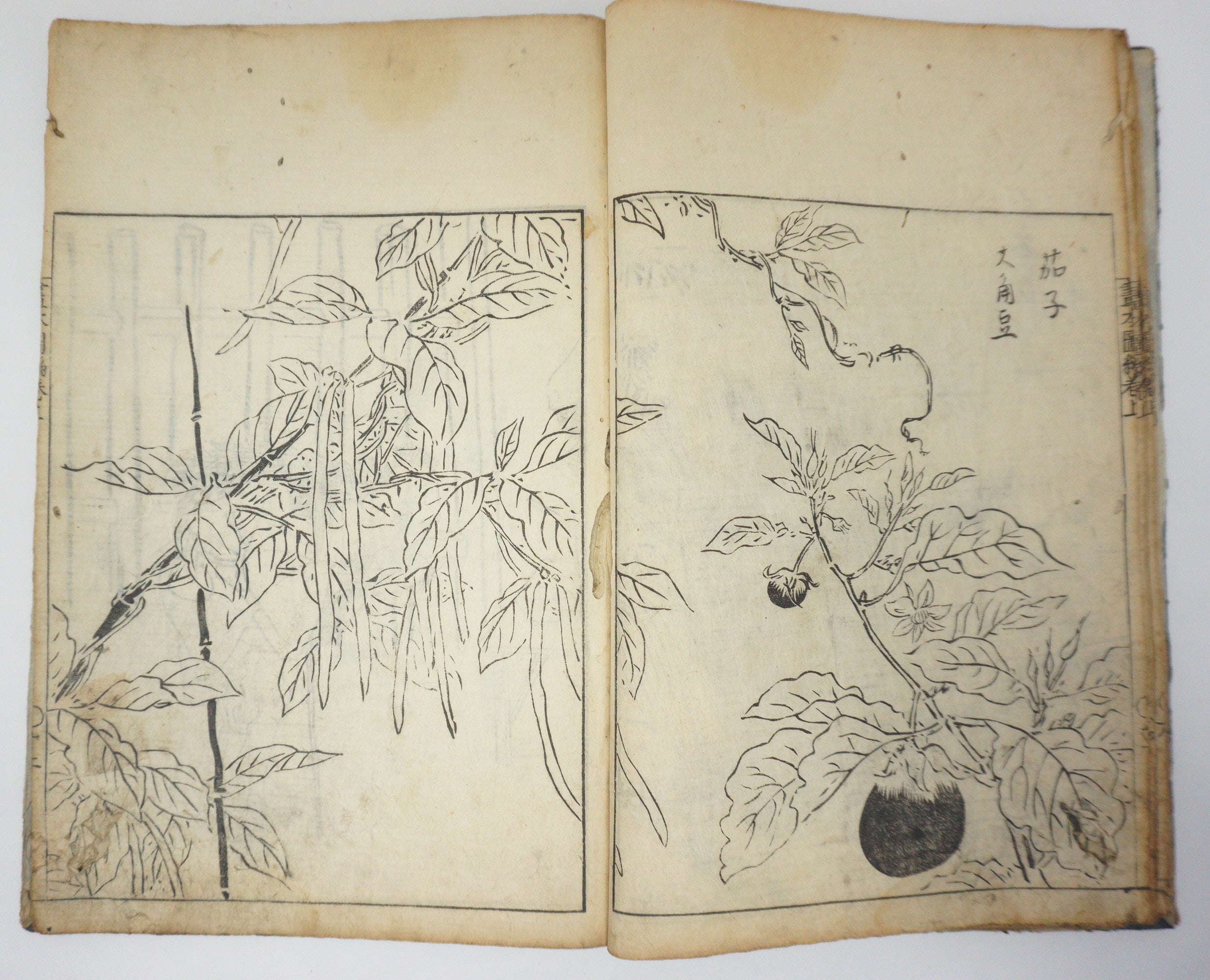 Antique Illustrated Book Set with 60 detailed Images Meiji Era Original by Ichicho Ei 0822D23