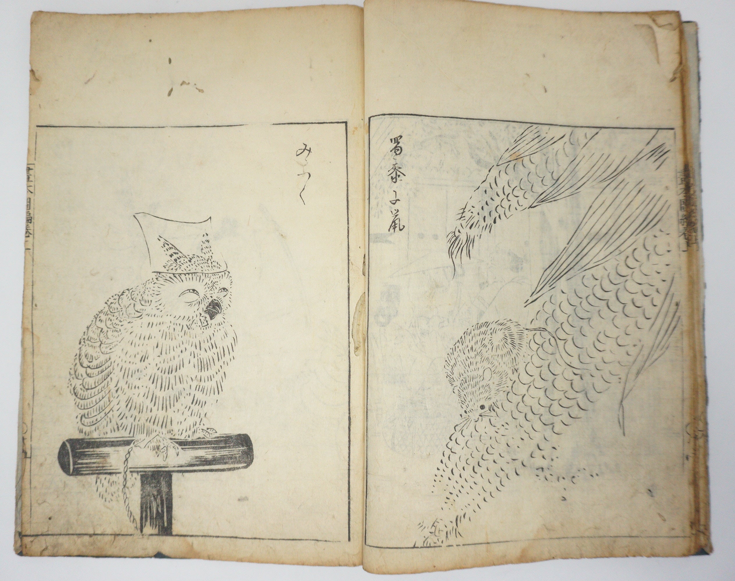 Antique Illustrated Book Set with 60 detailed Images Meiji Era Original by Ichicho Ei 0822D23