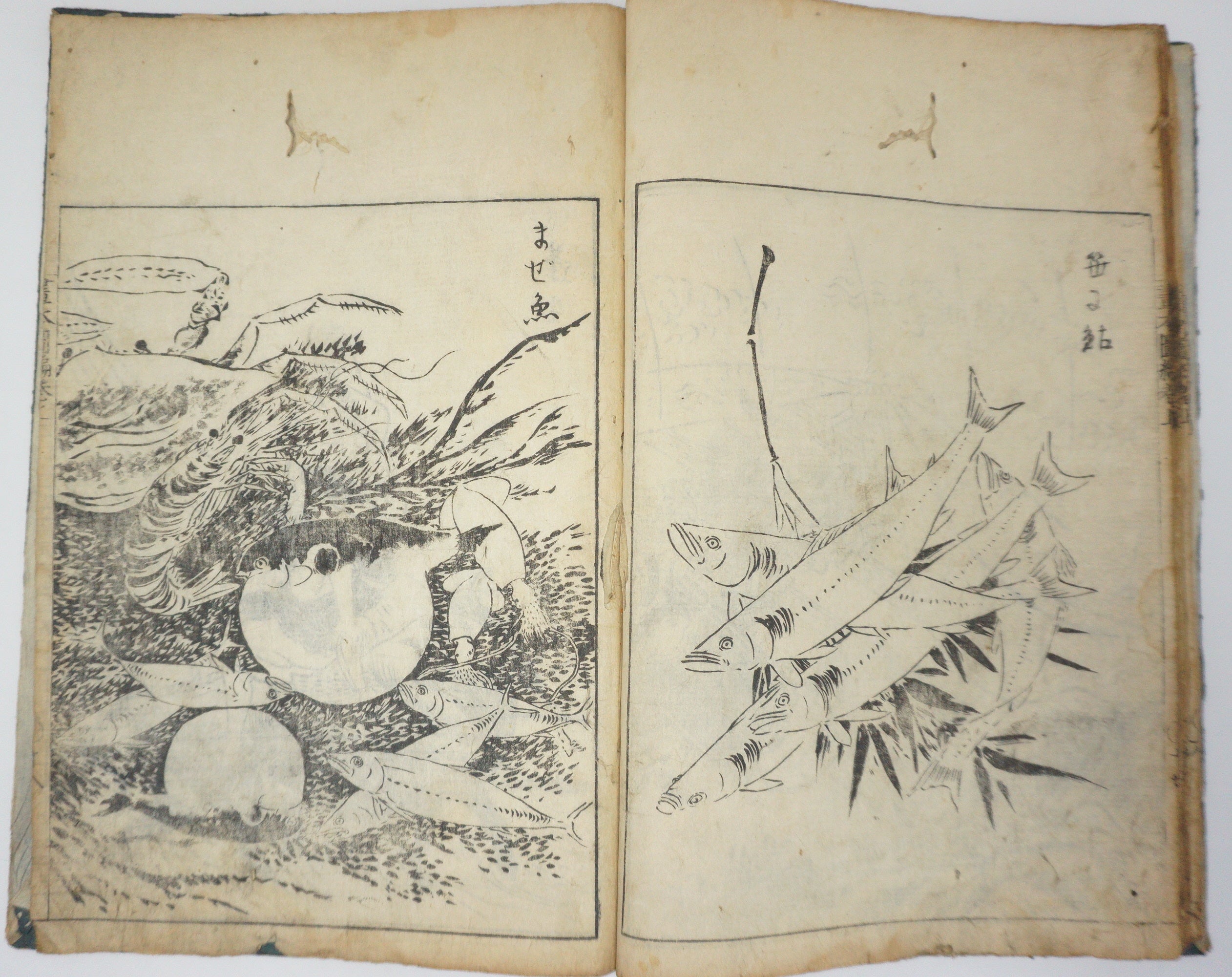 Antique Illustrated Book Set with 60 detailed Images Meiji Era Original by Ichicho Ei 0822D23