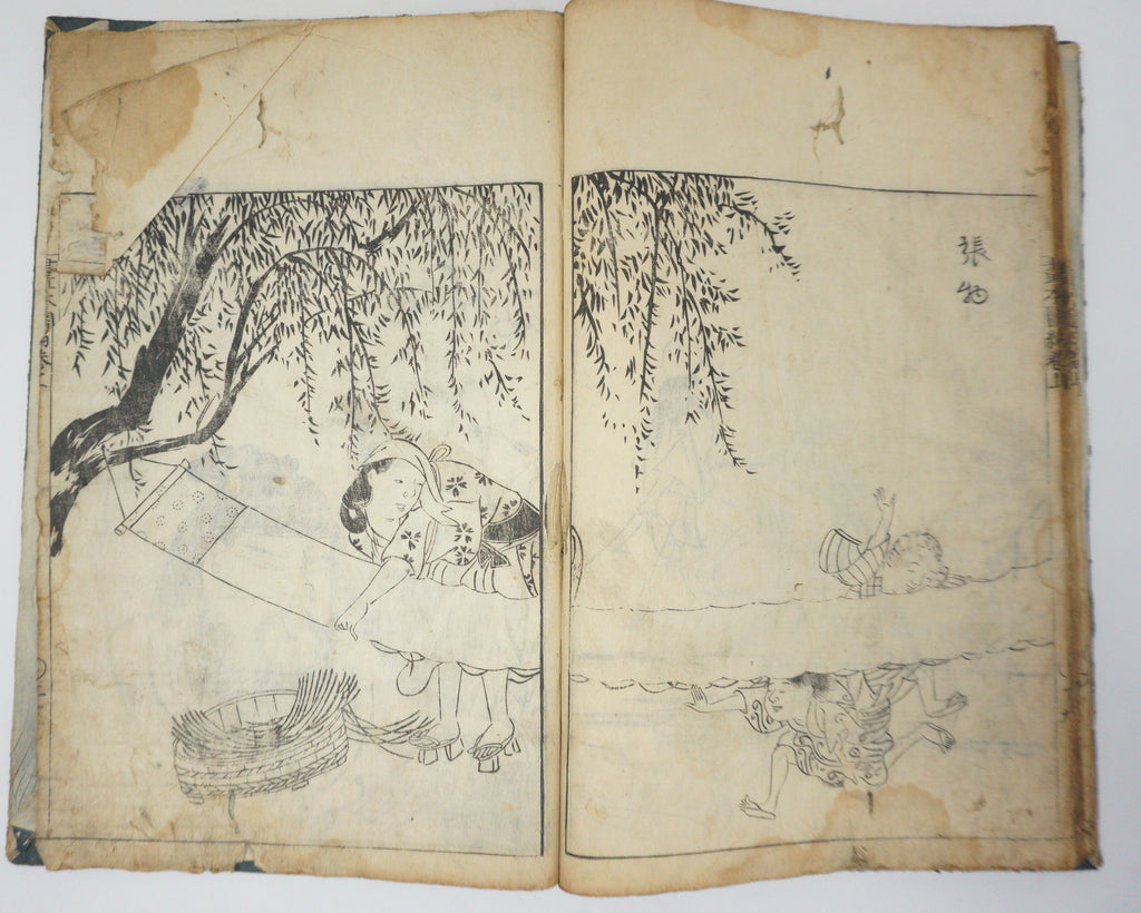 Antique Illustrated Book Set with 60 detailed Images Meiji Era Original by Ichicho Ei 0822D23