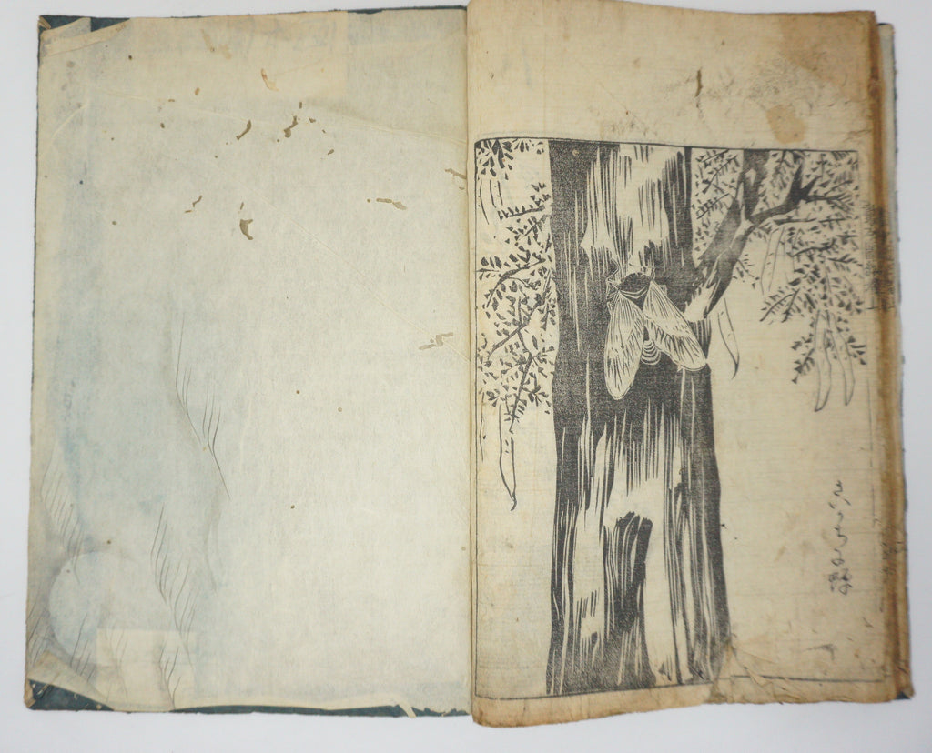 Antique Illustrated Book Set with 60 detailed Images Meiji Era Original by Ichicho Ei 0822D23