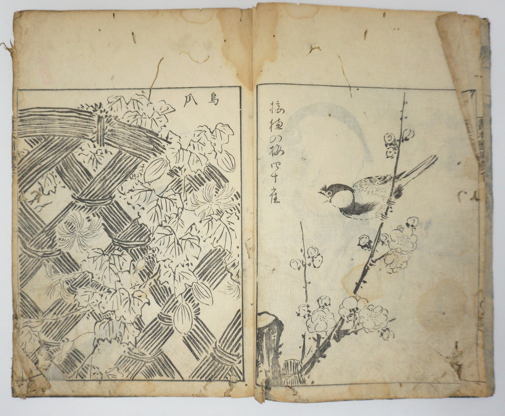 Antique Illustrated Book Set with 60 detailed Images Meiji Era Original by Ichicho Ei 0822D23