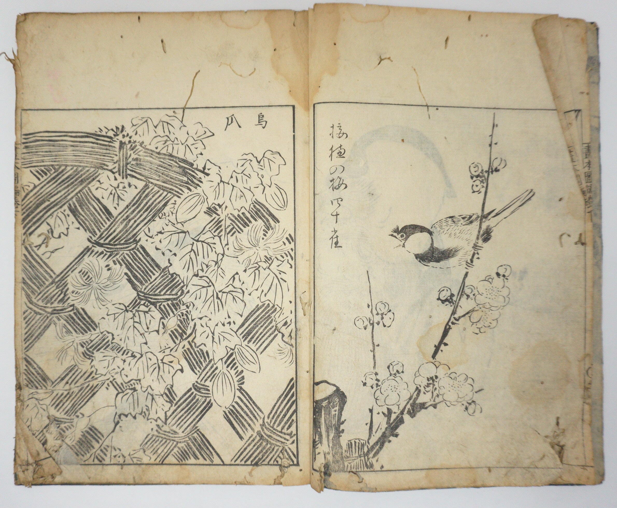 Antique Illustrated Book Set with 60 detailed Images Meiji Era Original by Ichicho Ei 0822D23