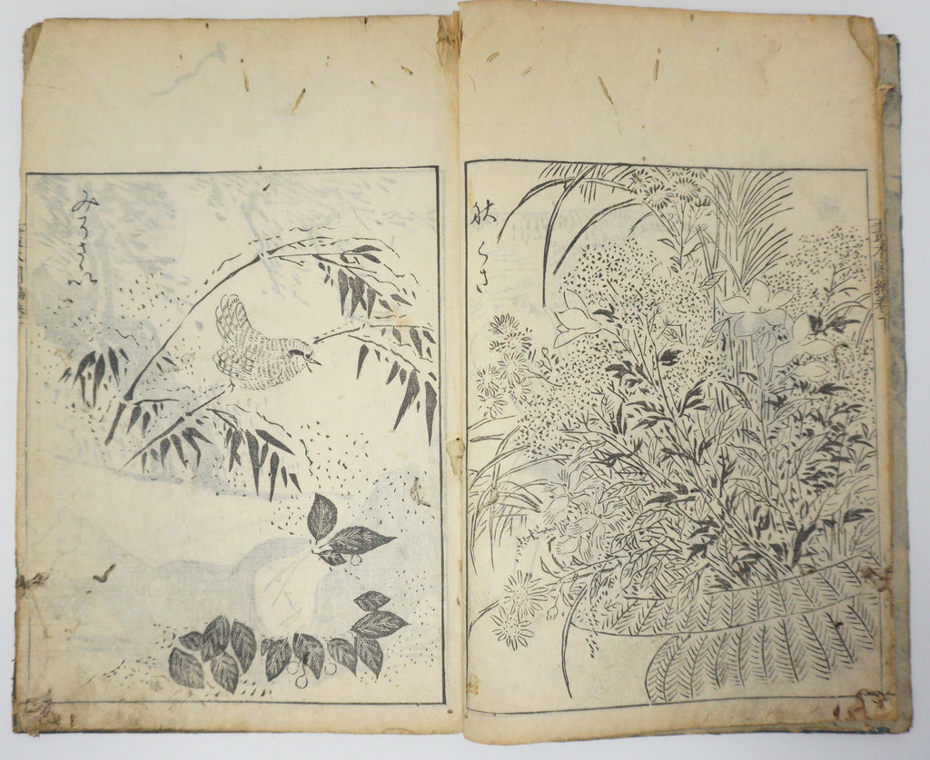 Antique Illustrated Book Set with 60 detailed Images Meiji Era Original by Ichicho Ei 0822D23