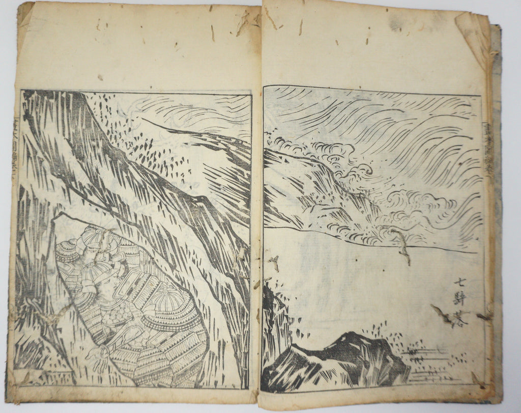 Antique Illustrated Book Set with 60 detailed Images Meiji Era Original by Ichicho Ei 0822D23