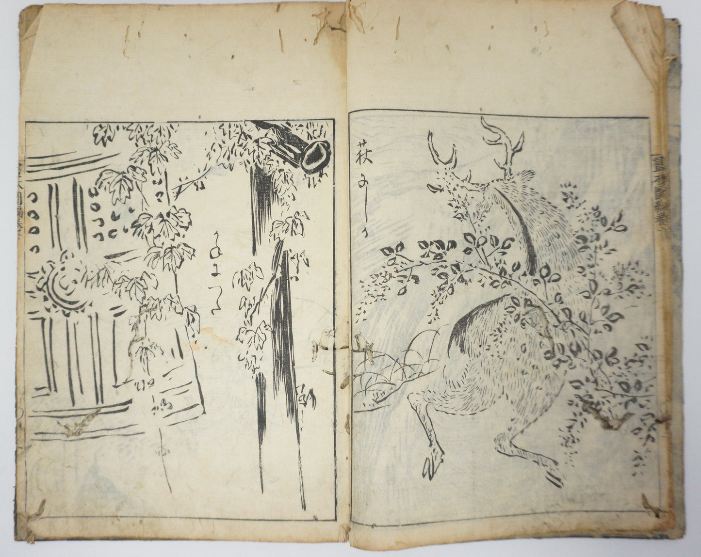 Antique Illustrated Book Set with 60 detailed Images Meiji Era Original by Ichicho Ei 0822D23