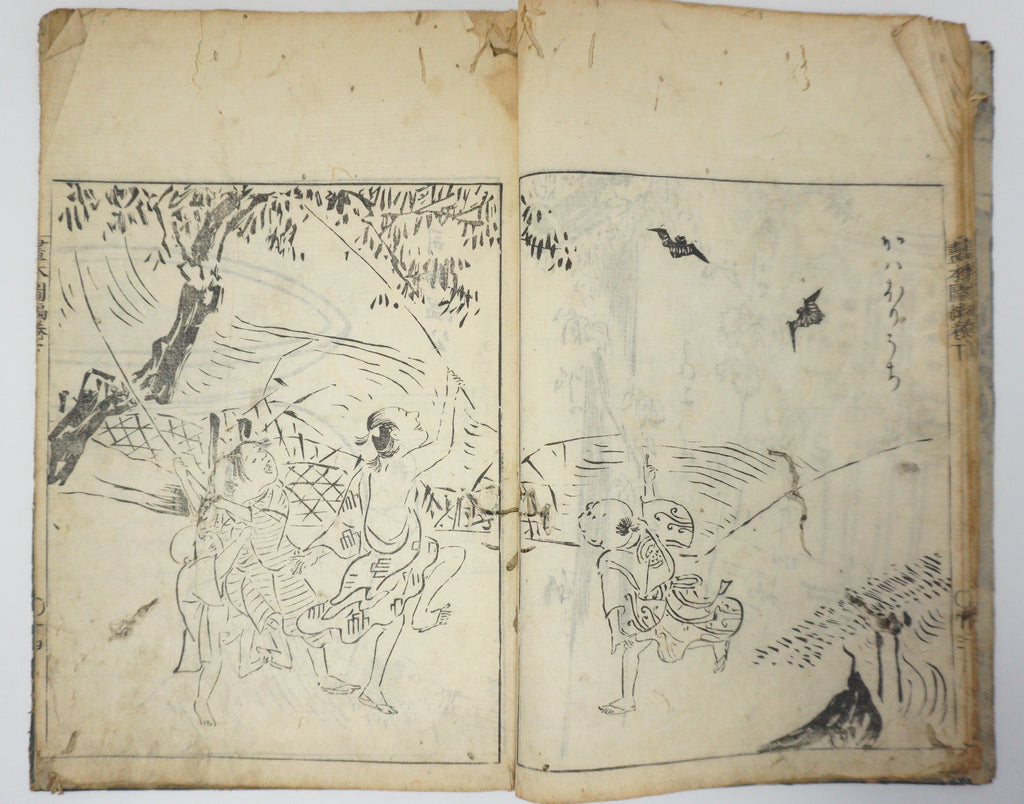 Antique Illustrated Book Set with 60 detailed Images Meiji Era Original by Ichicho Ei 0822D23