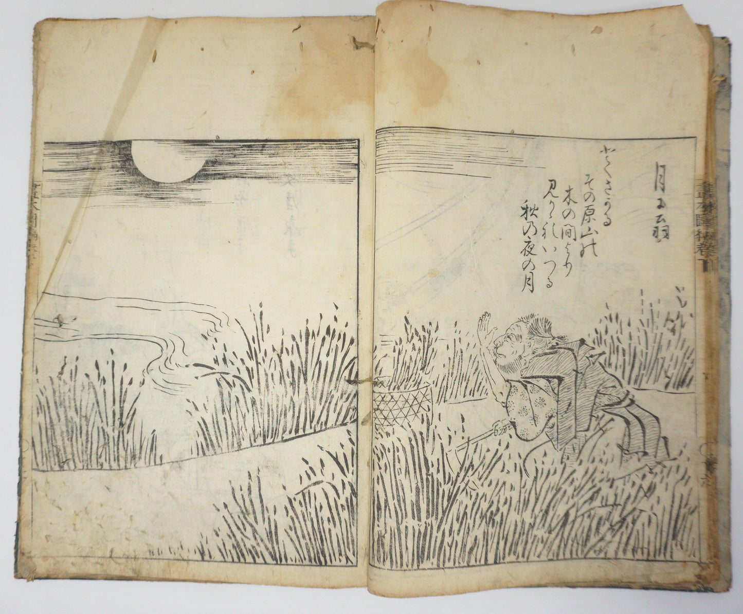 Antique Illustrated Book Set with 60 detailed Images Meiji Era Original by Ichicho Ei 0822D23