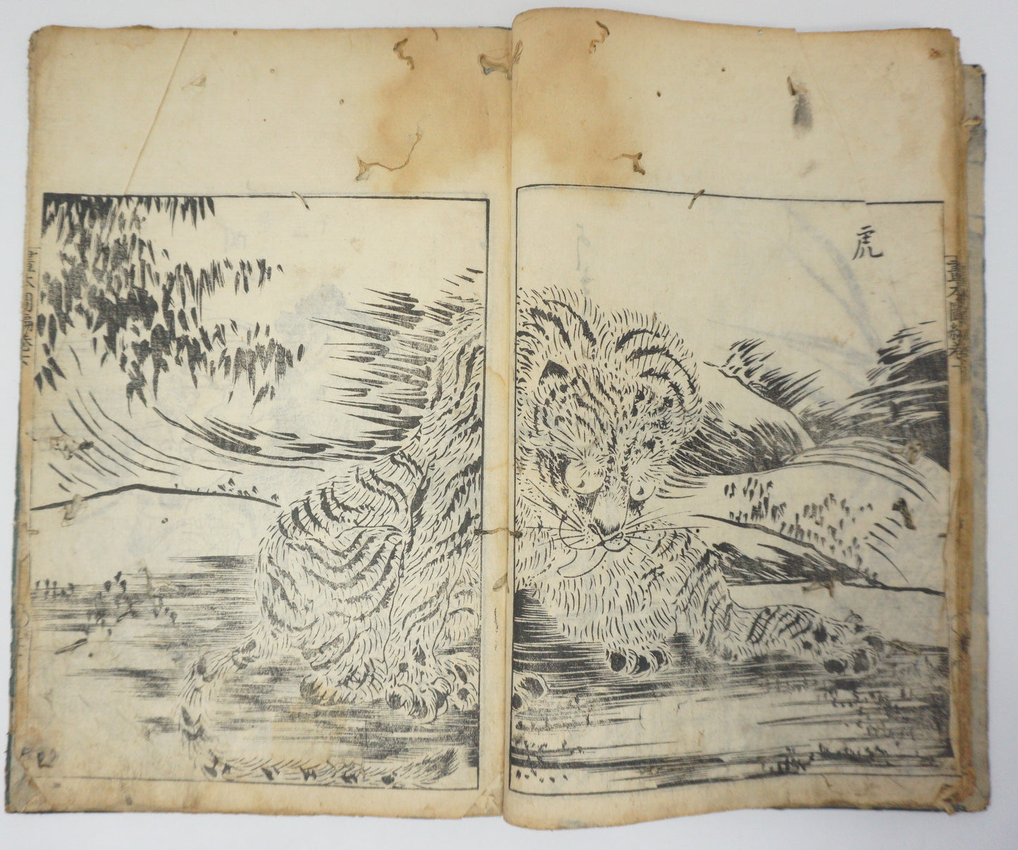 Antique Illustrated Book Set with 60 detailed Images Meiji Era Original by Ichicho Ei 0822D23