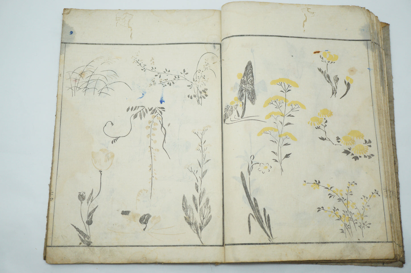 Antique Japanese Booklet -Abbreviated Drawing Styles- by Kuwagata Keisai Edo Original 1127E2