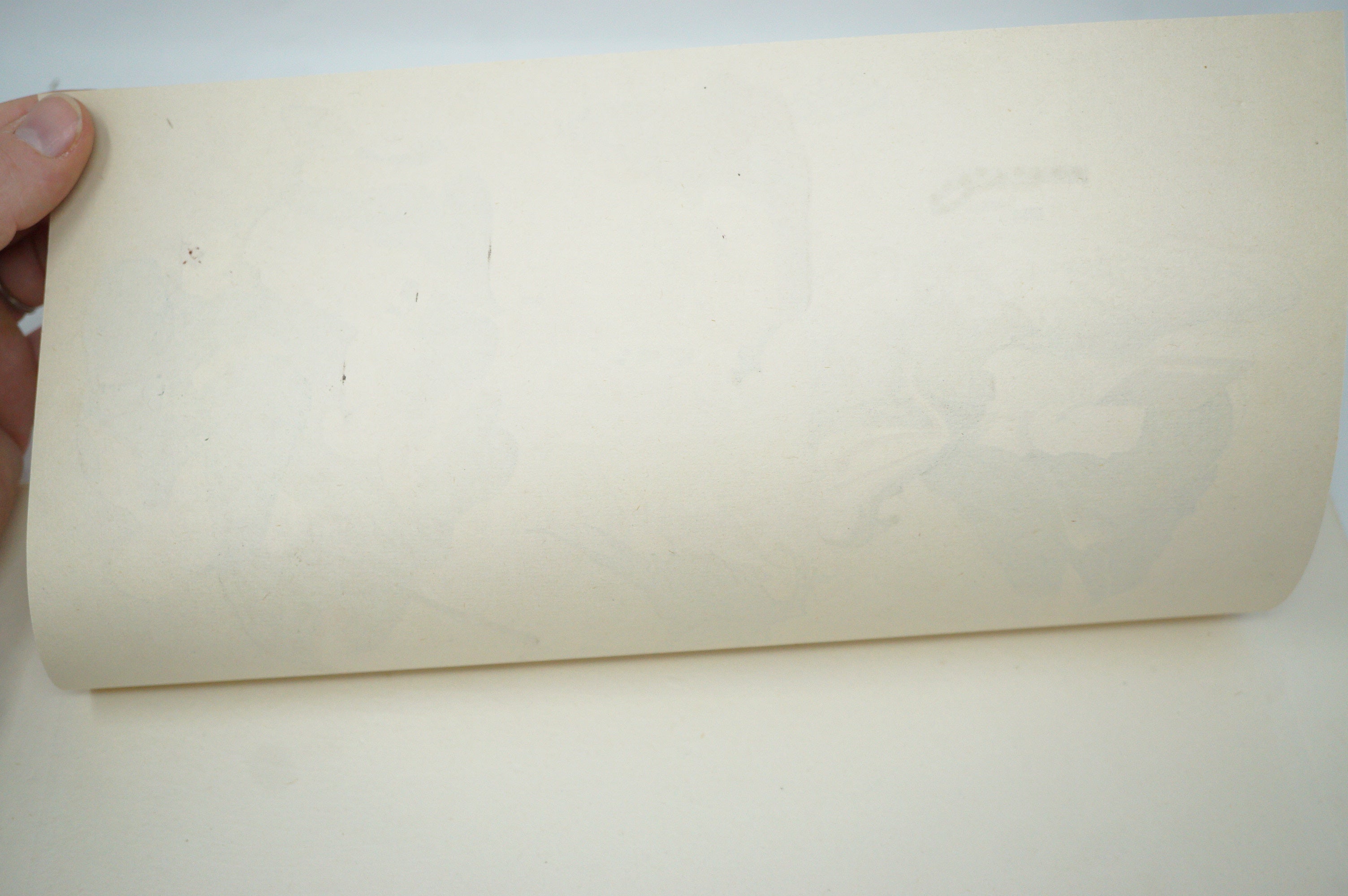 Japanese Quality Woodblock Print Recarved Edition by Iwasa Matabei 1026D30