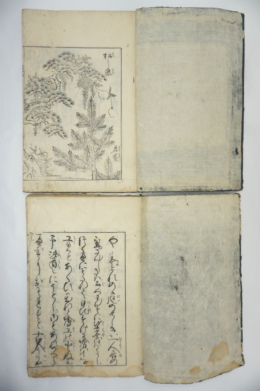 Japanisches Buchset von Tachibana Morikuni -Naturgeschichte- 1794 Antike Originale aus Japan 1127E4 