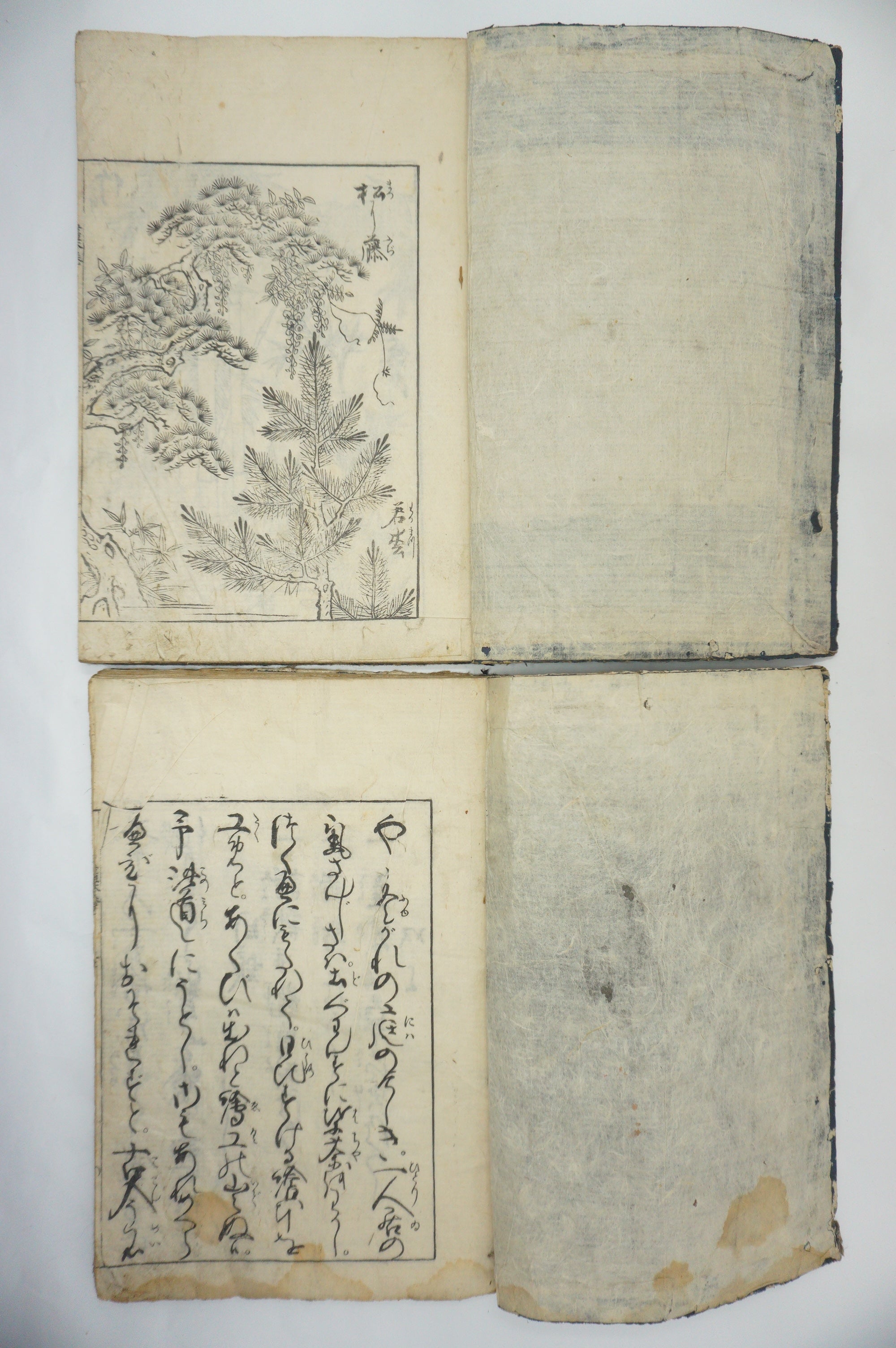 Japanisches Buchset von Tachibana Morikuni -Naturgeschichte- 1794 Antike Originale aus Japan 1127E4 