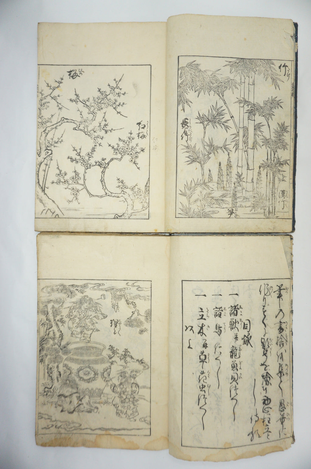 Japanisches Buchset von Tachibana Morikuni -Naturgeschichte- 1794 Antike Originale aus Japan 1127E4 